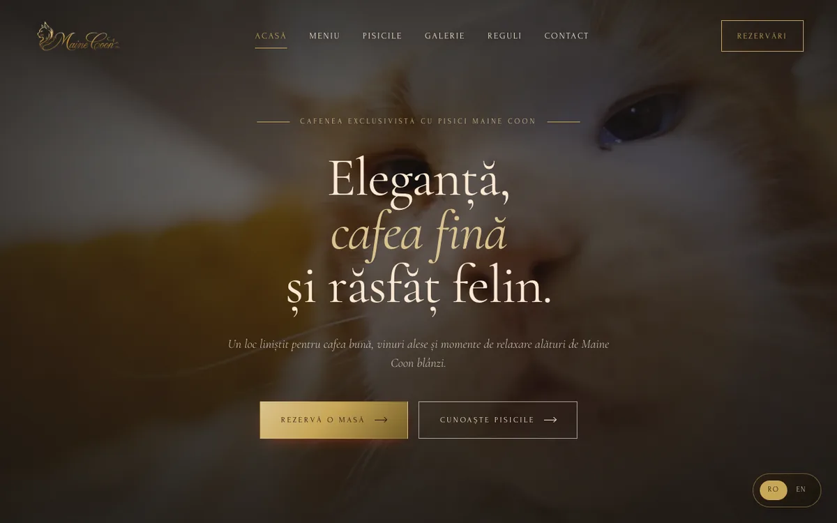Site-ul Maine Coon Cafe, cu rezervări online și prezentarea cafenelei